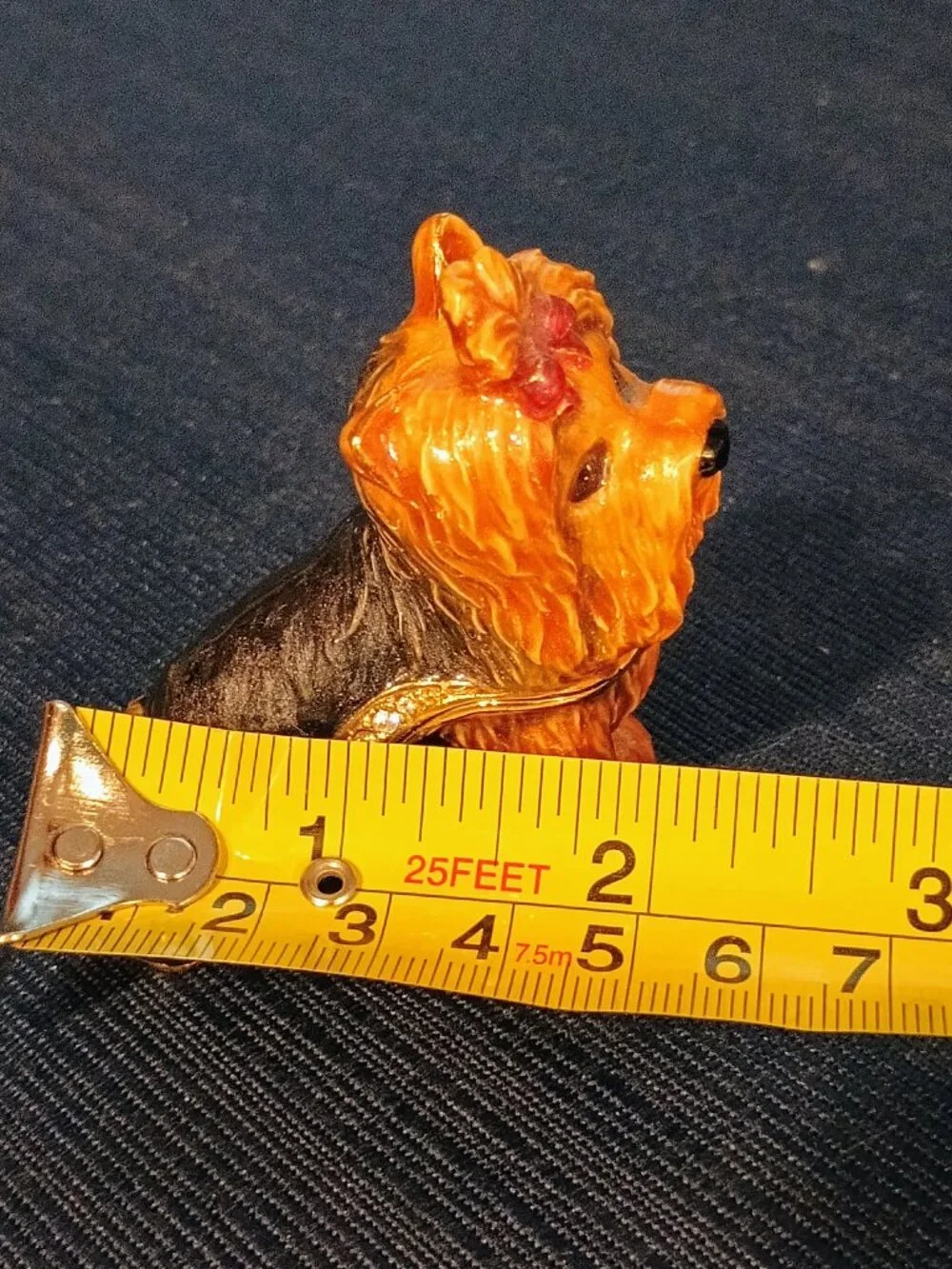 N/A yorkshire terrier